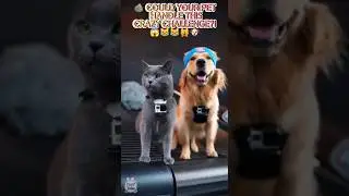 Can Your Cat & Dog Survive the Boulder Run?! 🐱🐶 | FLUFF TUBE EXTREME CHALLENGE!