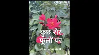 Kuch sher 
