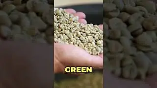 Green Coffee Extract EXPOSED: Fat-Burner or Total SCAM?