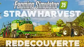 CE DLC GRATUIT POUR CONSOLES & PC EST ENFIN LA !🌾 | FARMING SIMULATOR 25