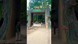 Parambikulam ￼Tiger reserve #parambikulam #tiger #reserve  #shots #vlog #shorts #traveling #viral