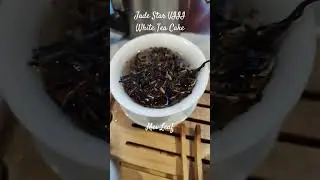 Tea Adventure 2025 day 7: Jade Star VIII from Mei Leaf
