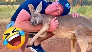 🥖 Funniest Animal Videos 😂 Silly & Dramatic Pets Caught on Camera 🐾 🤕 #funny_cats #catvideos