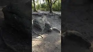 Камень из Ледникового периода. Заповедник Лемелерберг, Нидерланды.
