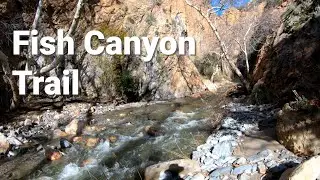 Ambient Hiking: Fish Canyon Trail (Castaic Lake region) 4K, No Music