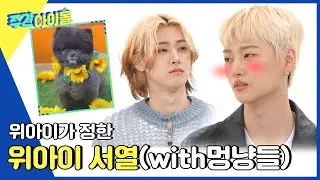 (ENG) [Weekly Idol] 위아이가 정한 그룹 내 서열 ※쿠키랑 달이 포함※ l EP.553