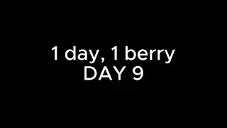 1 day 1 berry | DAY 9 | Bird berry #celeste #celestegameplay #indiegame #platformer