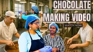From Bean to Bar: Live Tour of a Real Chocolate Factory! 🍫🍬