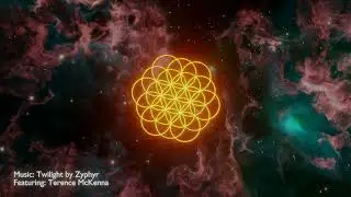 Terence McKenna Chillstep Remix - Ultimate Novelty