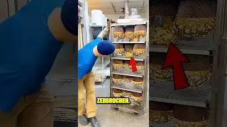 Zwei Tage Arbeit durch einen Fehler zunichtegemacht 😢💔