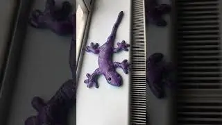 Purple Lizard