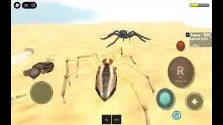 Gameplay of spider clans