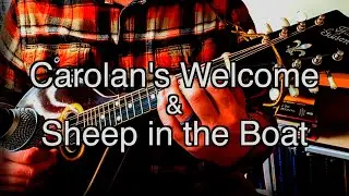 Carolan's Welcome, Sheep in the Boat | Irish traditional music | solo mandolin