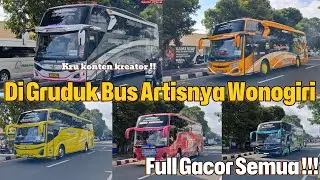 Hunting Rombongan Bus asal Wonogiri di Ibarbo Park | video terakhir di tahun 2025 |