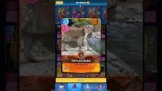 Review deck semi odin #cuecard2022 IGN : Nobless