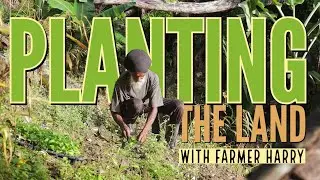 Planting the land with Farmer Harry