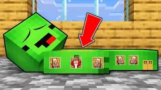 JJ Built a Village inside Mikey in Minecraft (Maizen)