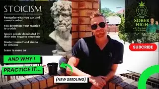 TheSoberHigh - StoicismExplained