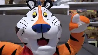 Kitwana's Toys #179: 1998 Fun 4 All Tony the Tiger 16