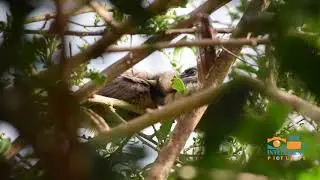 Nature Photography By Intelligent Pictures, Nat Geo Wild #NatgeoWild