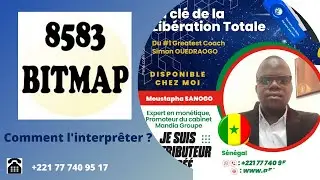 BITMAP ISO 8583: SAVOIR l'Interpr&eacute;ter de A &agrave; Z