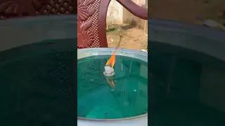 FIRE🔥🆚💦WATER #experiment #telugu #hindi #andhrapradesh #odisha #amma