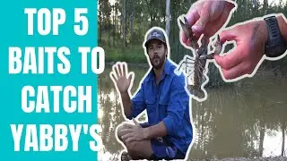 TOP 5 BAITS TO CATCH YABBY'S