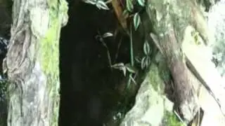 Helvetas Clean Water Story