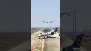 Unexpected Crazy Deer Enters Active Runway Pilot Quickly Thinking Safe Landing Gtav