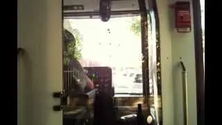 Potsdams neue Tram 
