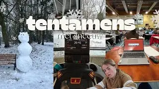 FIRST EXAM📚 | studying with the snow