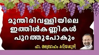 ഇപ്പോൾ സംഭവിച്ചുകൊണ്ടിരിക്കുന്ന  കഞ്ചിക്കോട്  മരിയൻ പ്രവചനങ്ങൾ
