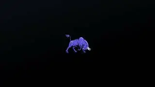 Magnus digital Intro
