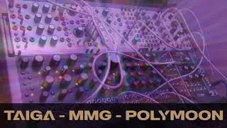 Taiga, MMG and Polymoon