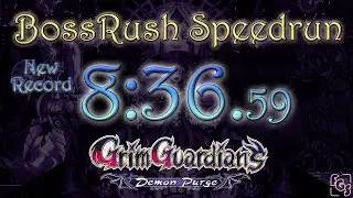 Grim Guardians Demon Purge - Boss Rush Speedrun 8:36