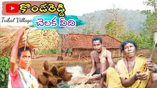 Konda Reddy Tribal Village vlog@Maredumilli | Alluri district|Andhra @TribalMirror