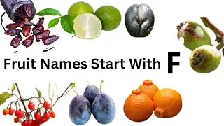 Fruits Name  Start With  F| List of Fruits Start With F |F letter Fruits Name