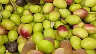 صباح الخير جميعا اجي تعرفي على مجموعتنا الغزالة ✌🏻✅🌺💜