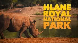 Hlane Royal National Park | Eswatini