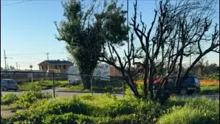 One Year Later after the Eaton Fire