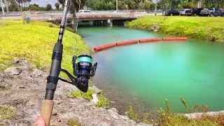 Catching AQUARIUM Fish in MIAMI CANALS! (HUGE PB)!