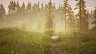 Nature asset