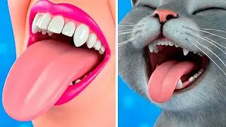 MIMI - A DAY IN THE LIFE OF A CAT By Meow-some! Live
