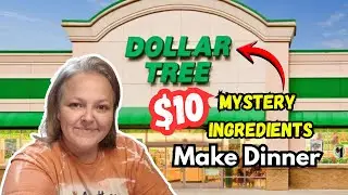 Dollar Tree $10 Mystery Ingredients Make Dinner || Budget Cooking in 2026