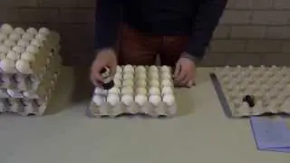 Nuovo Egg Stamper - Easy Stamp EMS1