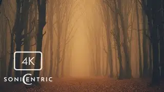 Haunting Ambience with Halloween Music | 4K Creepy Halloween Visual | Produced by SoniCentric