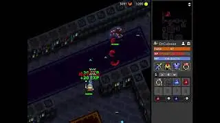 RotMG: Cursed Library (new dungeon in testing)