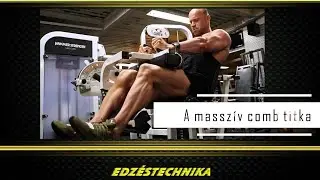 A masszív comb titka - Dietgainz edzéstechnika