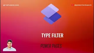 What are Type filters within Power Pages liquid language?