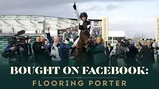 THE TWO-TIME CHELTENHAM FESTIVAL WINNER WHO WAS BOUGHT ON FACEBOOK!